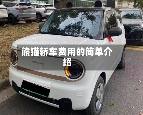 熊猫轿车费用的简单介绍-第3张图片