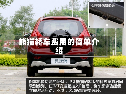 熊猫轿车费用的简单介绍-第2张图片
