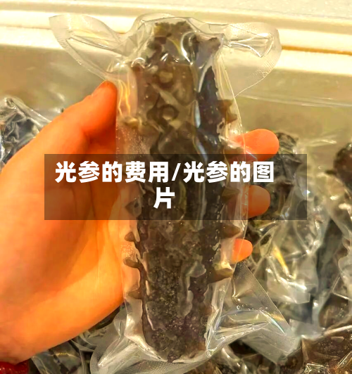 光参的费用/光参的图片
