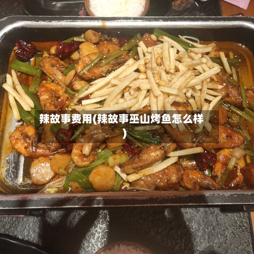 辣故事费用(辣故事巫山烤鱼怎么样)