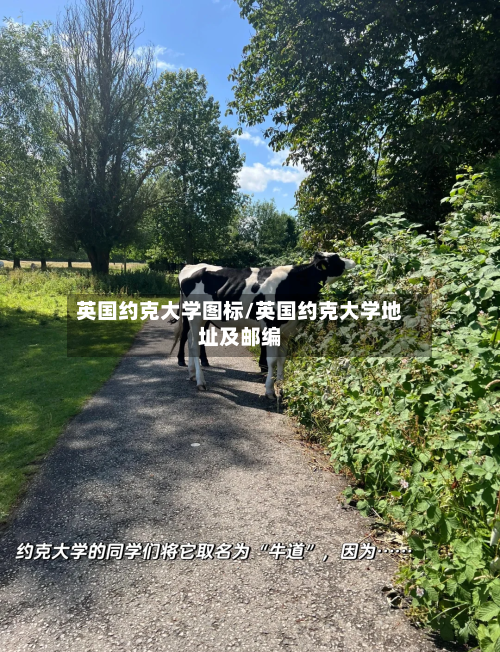 英国约克大学图标/英国约克大学地址及邮编-第2张图片