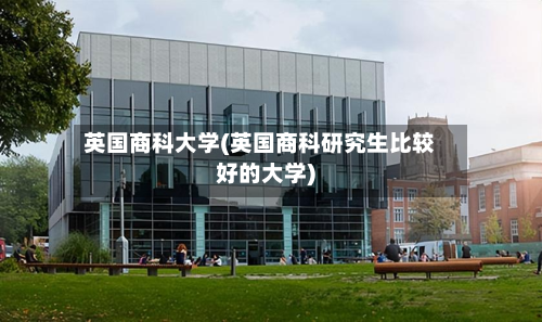 英国商科大学(英国商科研究生比较好的大学)