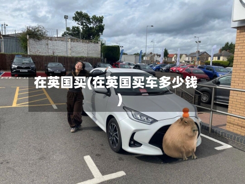 在英国买(在英国买车多少钱)