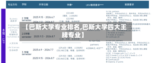 【巴斯大学专业排名,巴斯大学四大王牌专业】-第2张图片