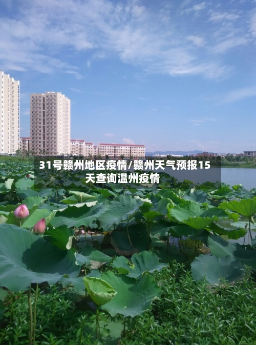 31号赣州地区疫情/赣州天气预报15天查询温州疫情-第3张图片