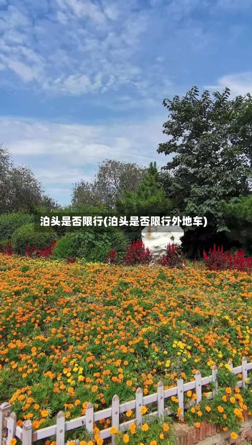 泊头是否限行(泊头是否限行外地车)-第2张图片