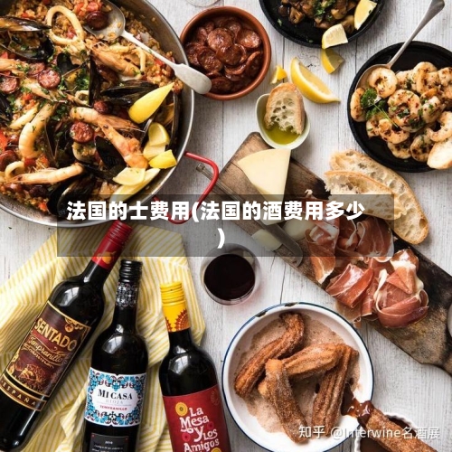 法国的士费用(法国的酒费用多少)