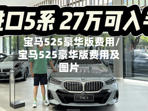 宝马525豪华版费用/宝马525豪华版费用及图片-第2张图片