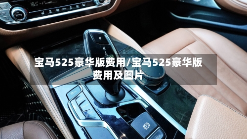 宝马525豪华版费用/宝马525豪华版费用及图片-第3张图片