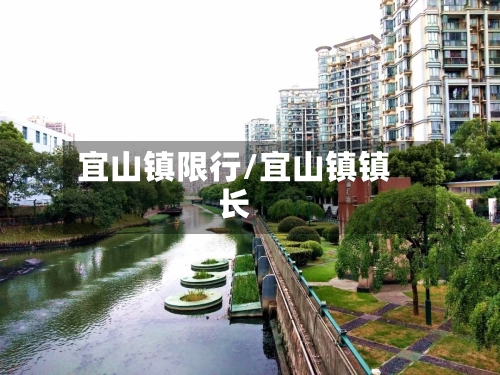 宜山镇限行/宜山镇镇长