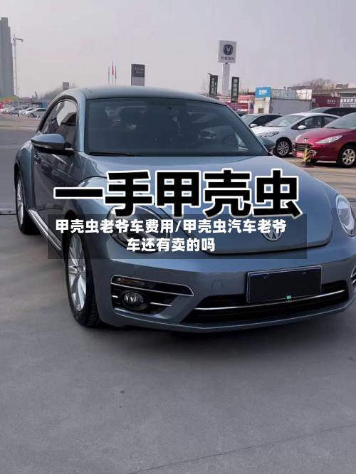 甲壳虫老爷车费用/甲壳虫汽车老爷车还有卖的吗