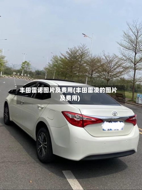 丰田雷诺图片及费用(丰田雷凌的图片及费用)-第3张图片