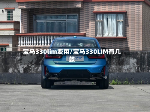 宝马330lim费用/宝马330LIM有几款-第2张图片