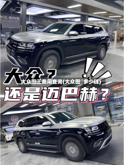 大众图王费用查询(大众图昻多少钱)