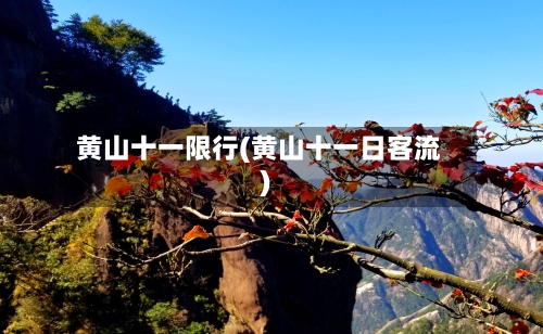 黄山十一限行(黄山十一日客流)