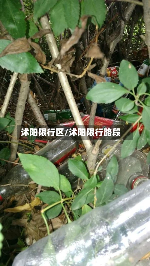 沭阳限行区/沭阳限行路段