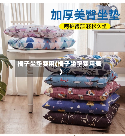 椅子坐垫费用(椅子坐垫费用表)