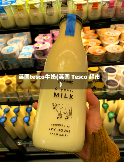 英国tesco牛奶(英国 Tesco 超市)