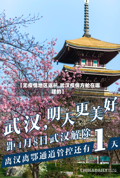 【无疫情地区返杭,武汉疫情方舱在哪建的】-第2张图片