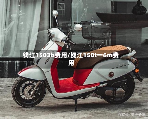钱江1503b费用/钱江150t一6m费用