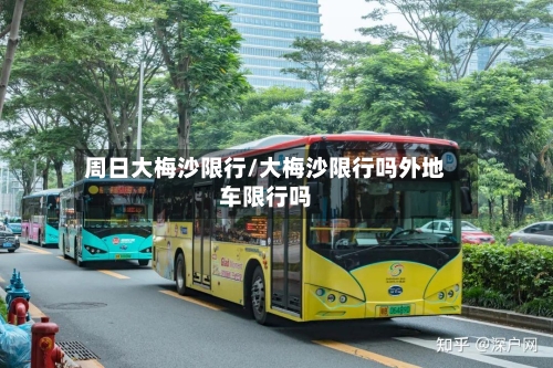 周日大梅沙限行/大梅沙限行吗外地车限行吗-第2张图片