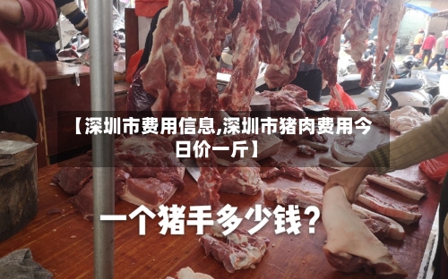 【深圳市费用信息,深圳市猪肉费用今日价一斤】