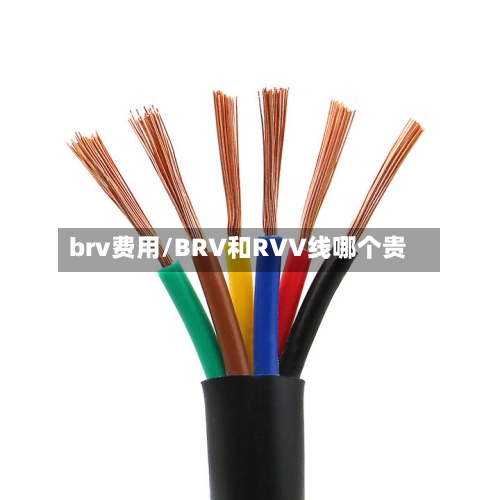 brv费用/BRV和RVV线哪个贵-第2张图片