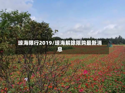 琼海限行2019/琼海解除限购最新消息