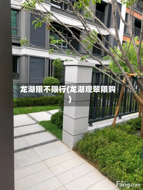 龙湖限不限行(龙湖观翠限购)-第2张图片