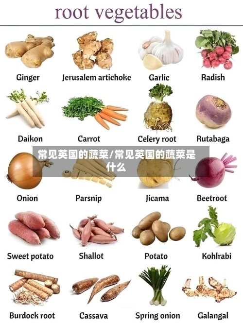 常见英国的蔬菜/常见英国的蔬菜是什么