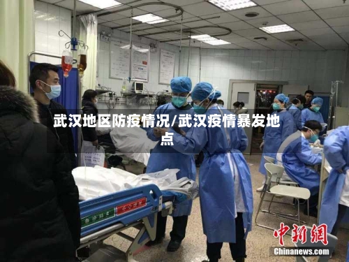 武汉地区防疫情况/武汉疫情暴发地点