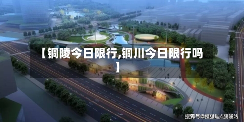 【铜陵今日限行,铜川今日限行吗】-第2张图片