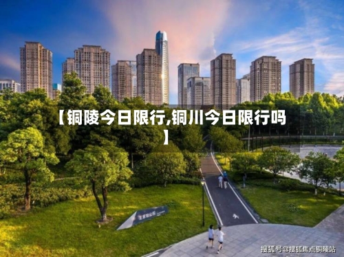 【铜陵今日限行,铜川今日限行吗】-第3张图片