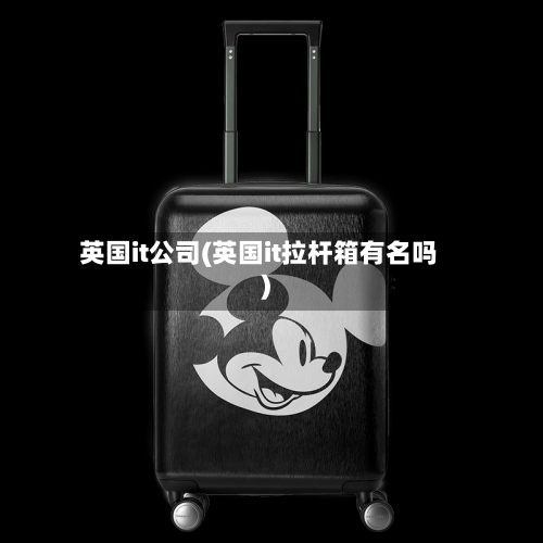 英国it公司(英国it拉杆箱有名吗)-第2张图片
