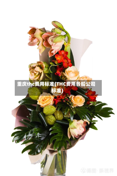 重庆thc费用标准(THC费用各船公司标准)-第2张图片