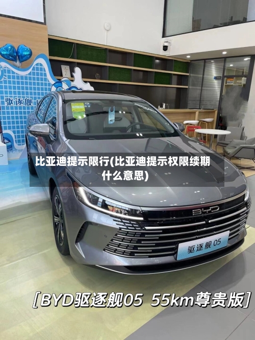 比亚迪提示限行(比亚迪提示权限续期什么意思)-第3张图片