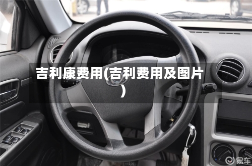 吉利康费用(吉利费用及图片)
