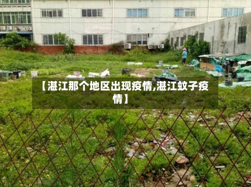【湛江那个地区出现疫情,湛江蚊子疫情】-第3张图片