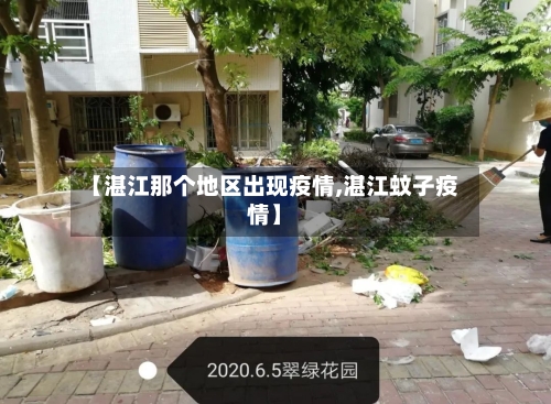 【湛江那个地区出现疫情,湛江蚊子疫情】-第2张图片