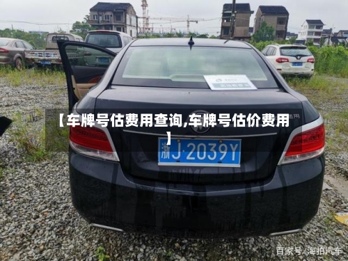 【车牌号估费用查询,车牌号估价费用】-第2张图片