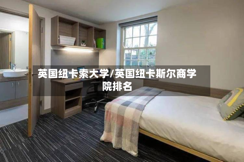 英国纽卡索大学/英国纽卡斯尔商学院排名