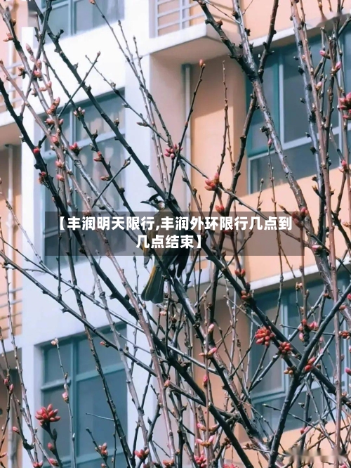 【丰润明天限行,丰润外环限行几点到几点结束】