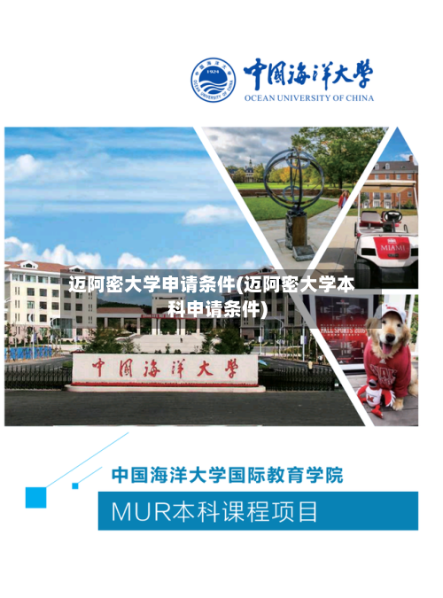 迈阿密大学申请条件(迈阿密大学本科申请条件)