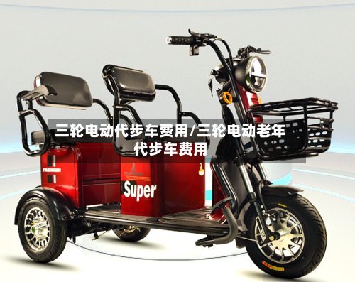 三轮电动代步车费用/三轮电动老年代步车费用-第3张图片