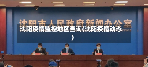 沈阳疫情监控地区查询(沈阳疫情动态)-第2张图片