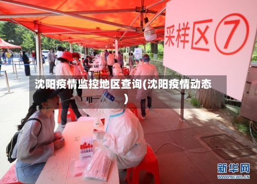 沈阳疫情监控地区查询(沈阳疫情动态)-第3张图片
