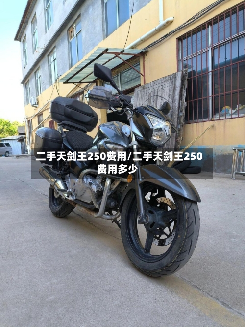 二手天剑王250费用/二手天剑王250费用多少-第2张图片