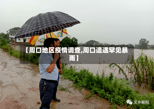 【周口地区疫情调查,周口遭遇罕见暴雨】-第2张图片