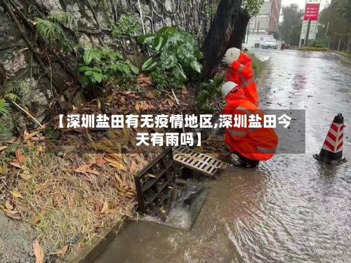 【深圳盐田有无疫情地区,深圳盐田今天有雨吗】