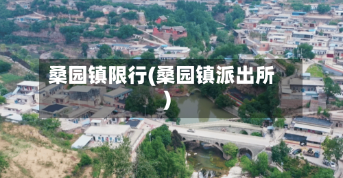桑园镇限行(桑园镇派出所)